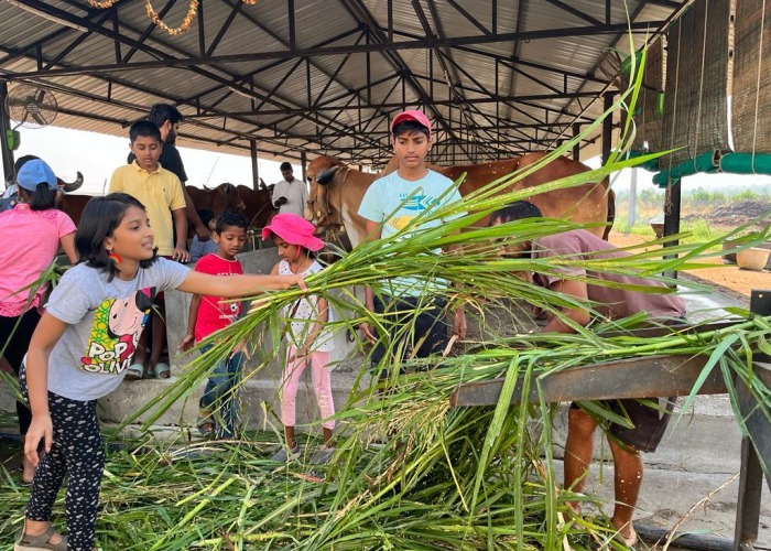 Farm Visits 